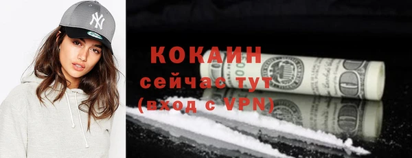 соль ск Пересвет
