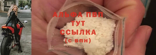 соль ск Пересвет