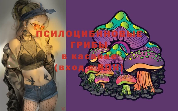 твердый Пестово