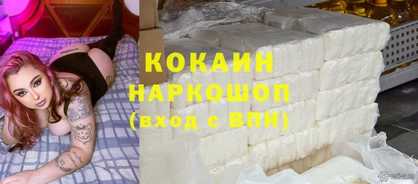 соль ск Пересвет