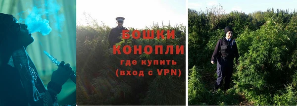 соль ск Пересвет