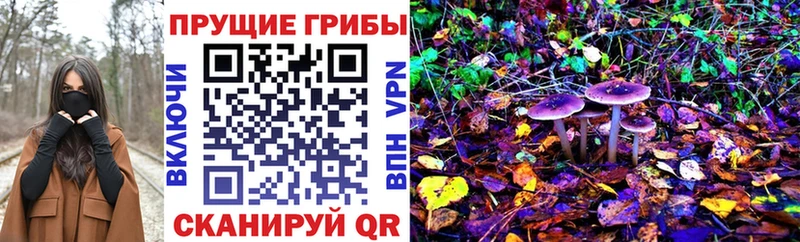 где купить наркоту  Ряжск  Галлюциногенные грибы GOLDEN TEACHER 